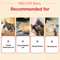 JAYU PET Red Cat Ball, 2.7 inch – Essentials for Cats - W/O Bell / 2.7inch - image 3