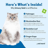Pet Wellbeing Urinary Gold for Cats - Supports Urinary Tract Health, Normal Frequency, Healthy Immune Response, Stoneroot, Hydrangea - Vet-Formulated Herbal Supplement 4 fl oz (118 ml)