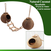 HERCOCCI Gecko Tank Accessories - Double - image 2
