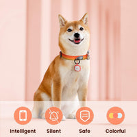 Pawaii Dog ID Tag, Silent Silicone QR Code Tag, Scan Alerts - Bright Red - image 2