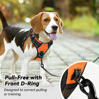 PoyPet No Pull Dog Harness Medium with Front Clip & Neck Release - XS / Orange - image 3