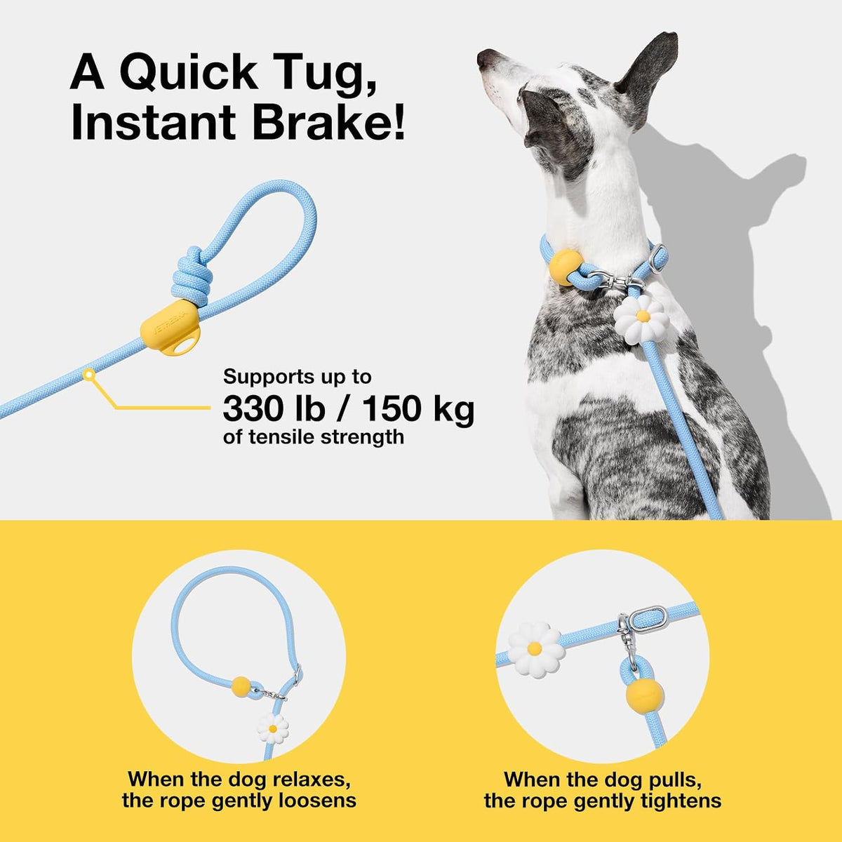 VETRESKA Hands-Free Dog Leash - Daisy Blue - image 4