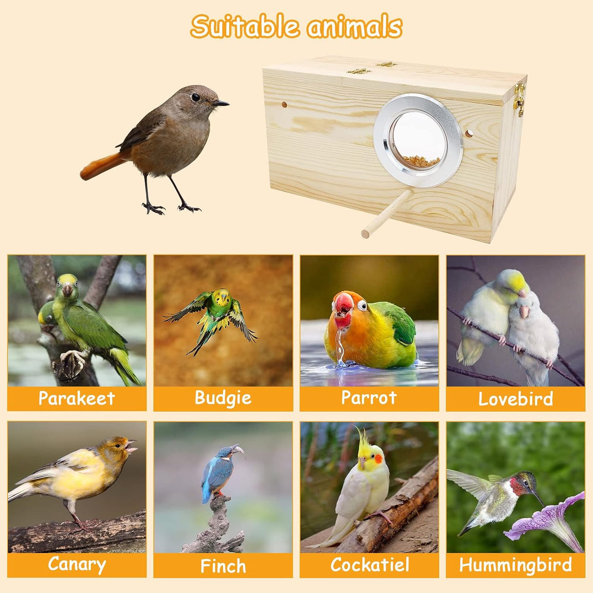 Acrylic Parakeet Nesting Box Transparent Panoramic Bird Nest for Cage – Essentials for Birds - M: 9.8 x 5.3 x 5.3 inch - image 4