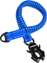 PetBonus Bungee Dog Leash Extension - Blue