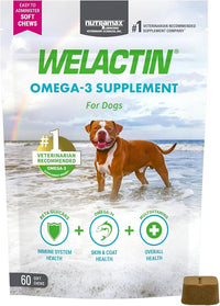 Nutramax Welactin Omega 3 Fish Oil for Dogs, Skin and Coat Health Supplement, Plus Immune and Overall Health, Premium Omega 3 Fatty Acids, Multivitamin For Dogs, Soft Chews, 60 Count
