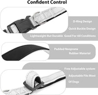 Reflective Dog Collar, Adjustable Nylon for Medium Dogs - Silver / S:width 5/8"neck 10.5-16" - image 4