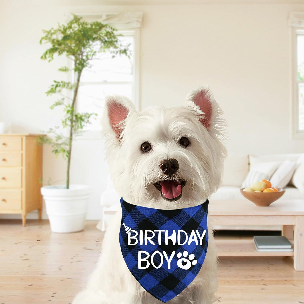 STMK Dog Birthday Bandana - Small / Blue - image 3