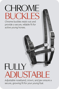 HORZE Adjustable Nylon Horse Halter for Foals, Colts, Fillies, Mini Horse Halter | Comfortable Small Horse Halter with Sturdy Buckles - Black - Foal