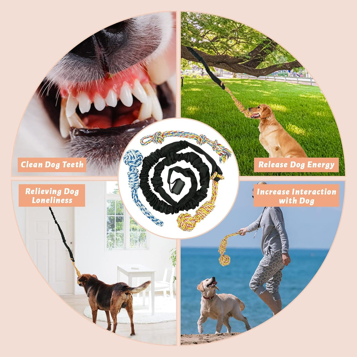 Interactive Dog Bungee Toy Rope Tug War for Pitbull Small Medium - image 3