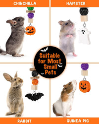 3PCS Chinchilla Toys Guinea Pig Bunny Rabbit Chew Toys Teeth Care - Halloween - image 3