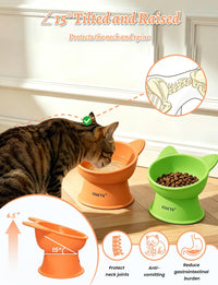 YINEYA 2 Pack Cat Food Bowls Elevated Design for Neck Comfort - Orange&Green - image 2