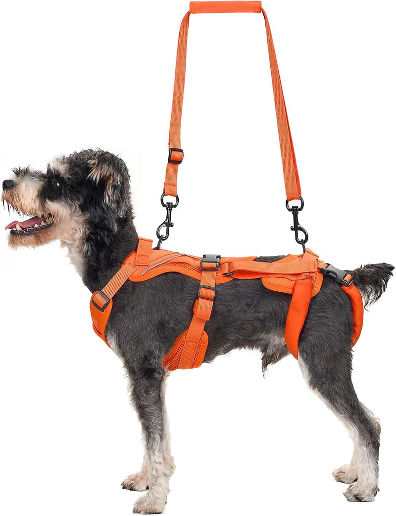 OneTigris Dog Lift Harness for Small Dogs XS - Small / Orange