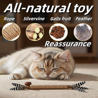 Cat Toys, 3PCS Catnip Toy for Indoor Kitten Treat Cats Chew Stick for Dental Cleaning Teeth Kitten Silvervine Rope Kitty Feather Snack for for Kick Molar Scratch Self Play Interactive Boredom