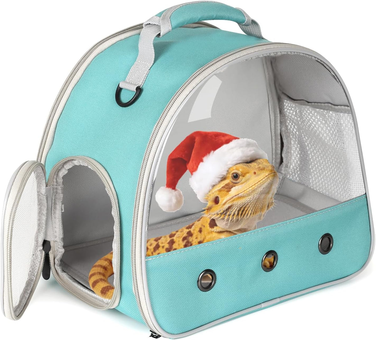 Bearded Dragon Travel Carrier, Lizards Carrier - Green / Carrier