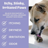 Skout's Honor Probiotic Paw Spray for Dogs - Microbiome-Friendly Certified - Alcohol-Free, Fragrance-Free & Non-Medicated - Supports Healthy Skin & Relieves Itchy, Stinky Paws, 8 oz, 2-Pack