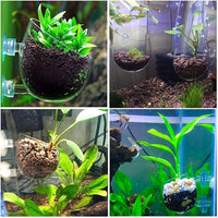 capetsma 2X Crystal Glass Aquatic Plant Pot, Planter, Red Shrimp Live Plants Fish Tank Holder with 4X Suction Cups for Aquarium Aquascape Decoration…