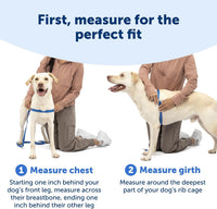 PetSafe Easy Walk Harness, No Pull Dog Harness, Royal Blue - Royal Blue/Navy Blue / Medium/Large / 1 - image 2