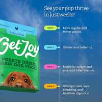 Get Joy Gut Health Fresh Freeze Dried Raw Meal, Chicken Recipe, 16 Ounce Bag, Dog Food for Dogs of All Breeds and Life Stages, PhD Animal Nutritionist Formulated, Made in USA