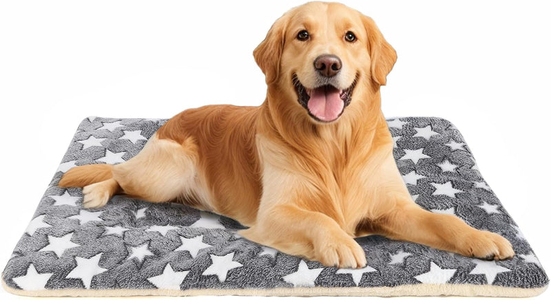 Dog Bed mat Pet mat Dog Box mat Machine Washable Grey – Essentials for Dogs - gray / 39x28x1.5 in