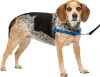 PetSafe Easy Walk Harness, No Pull Dog Harness, Royal Blue - Royal Blue/Navy Blue / Small/Medium / 1