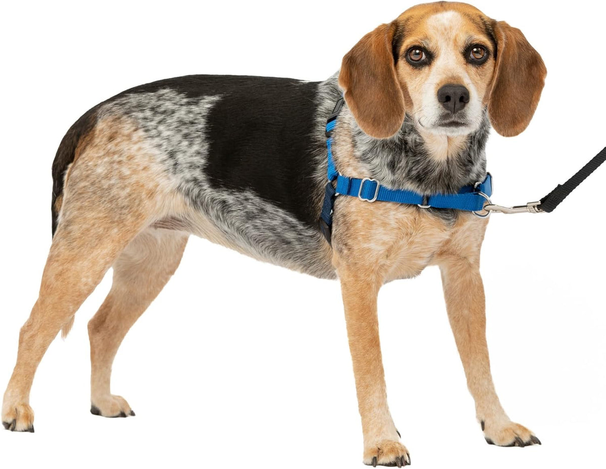 PetSafe Easy Walk Harness, No Pull Dog Harness, Royal Blue - Royal Blue/Navy Blue / Small/Medium / 1