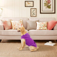 Fleece Dog Hoodie with Pouch, Green S – Essentials for Dogs - Small / Purple - image 3