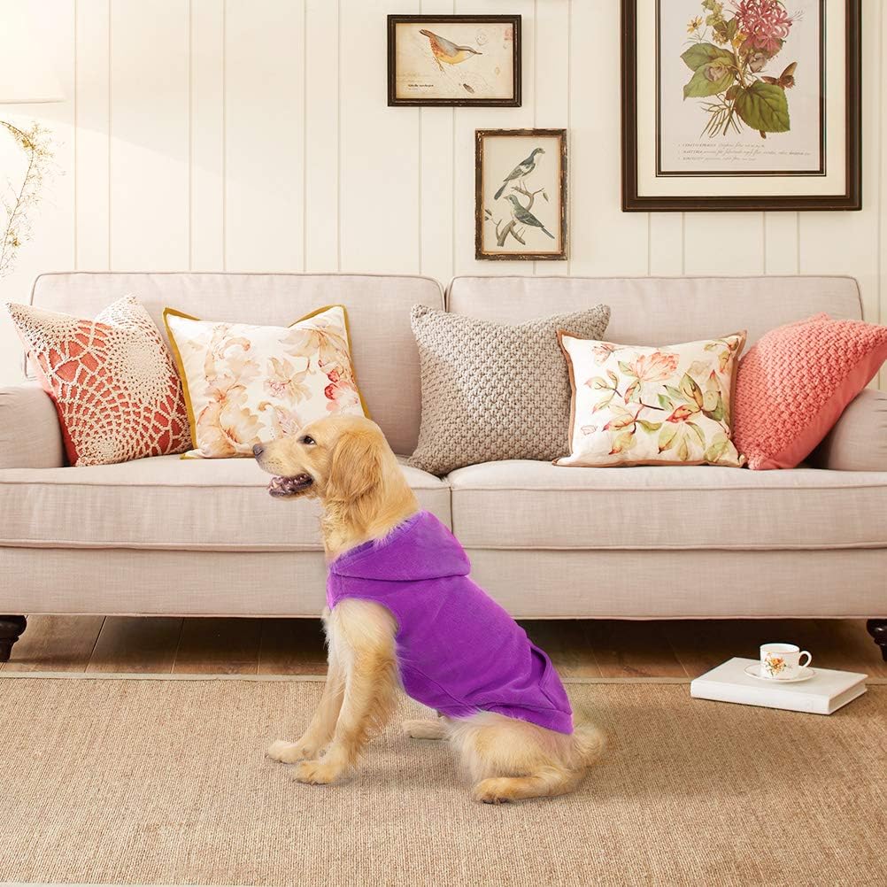 Fleece Dog Hoodie with Pouch, Green S – Essentials for Dogs - Small / Purple - image 3
