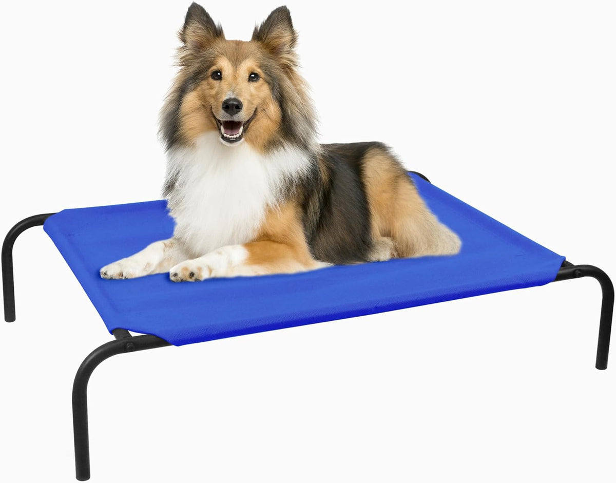 Raised Pet Cot for Small Pets – Essentials for Dogs - Medium / Blue