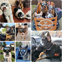 Dog Goggles Windproof for Medium-Large Breeds Dog Sunglasses Anti-UV with Adjustable Straps - Black