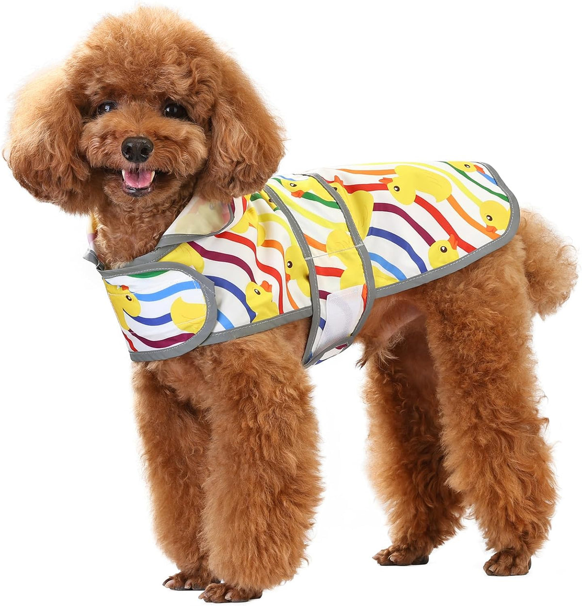 Dog Raincoat, Waterproof Dog Rain Jacket with Hood - Rainbow Ducks / Small - image 2