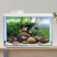 AWERT 48x24 in Branch Aquarium Backdrop Seagrass Fish Tank Background – Essentials for Fish - 48x24in/120x60cm - image 4