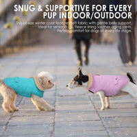 Dog Winter Coats for Small Dogs Puppies - Solid Lilac / X-Small - image 4