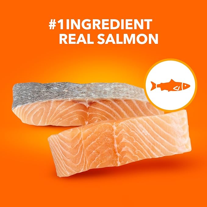 IAMS Proactive Health Adult Healthy Dry Cat Food with Real Salmon, 7 lb. Bag