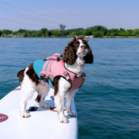 Kuoser Dog Life Jacket with Rescue Handle - X-large (Chest Girth:25.9-33.4'') / Pink & Aqua Blue - image 3