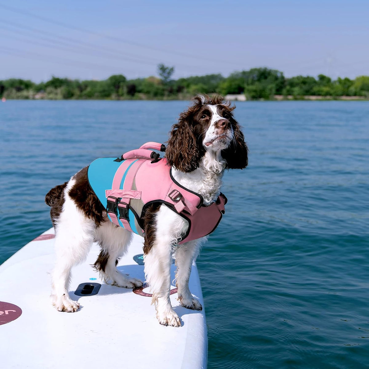 Kuoser Dog Life Jacket with Rescue Handle - X-large (Chest Girth:25.9-33.4'') / Pink & Aqua Blue - image 3