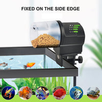 WiFi Fish Feeder Automatic Fish Feeder Automatic Dispenser – Essentials for Fish - Auto Version - image 3