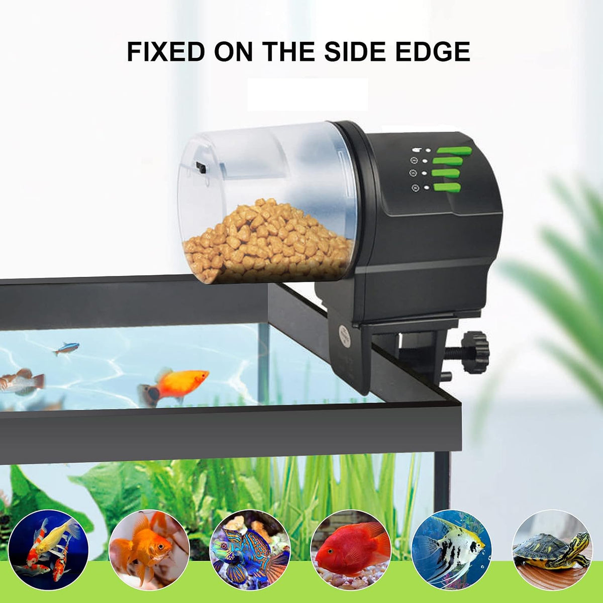 WiFi Fish Feeder Automatic Fish Feeder Automatic Dispenser – Essentials for Fish - Auto Version - image 3