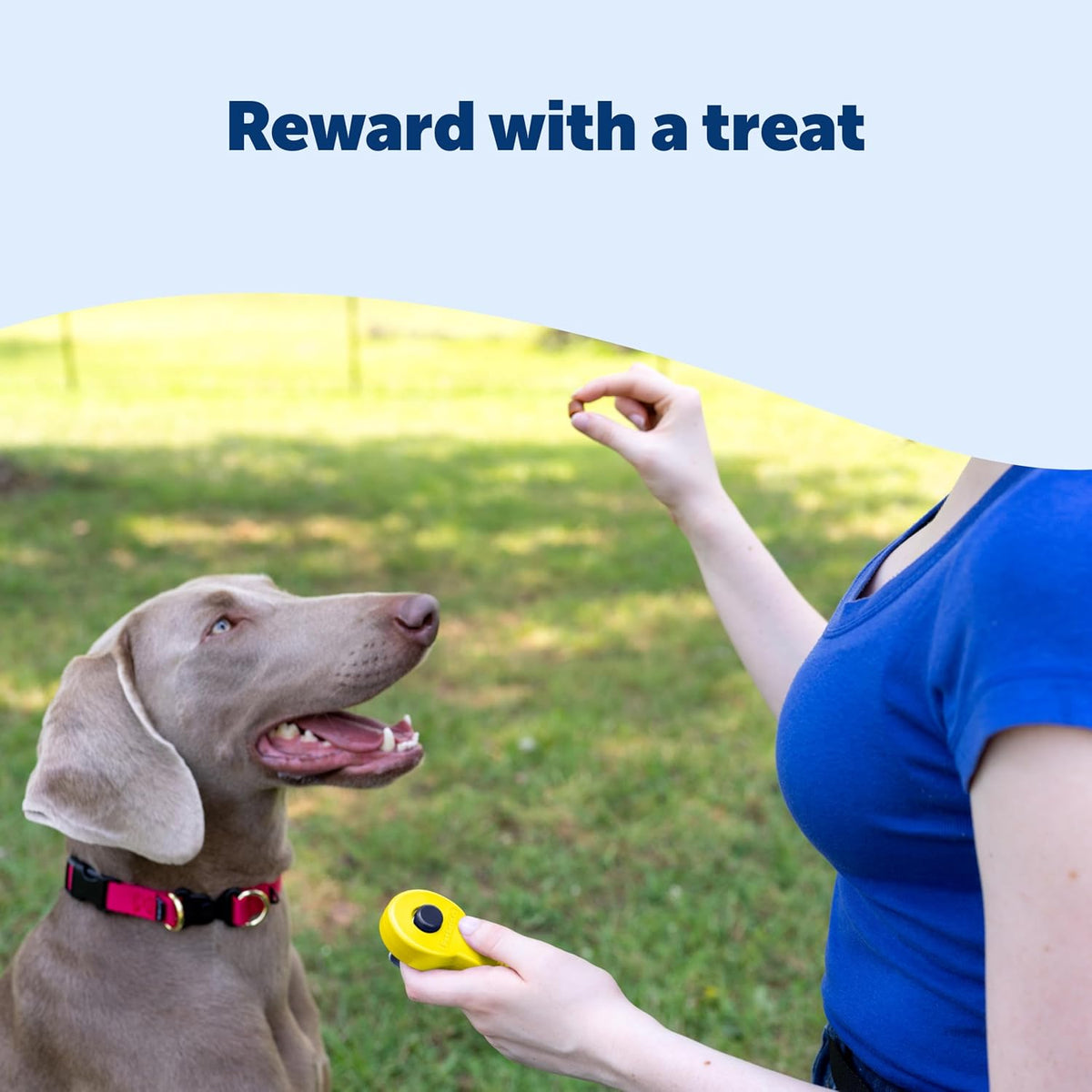 PetSafe Clik-R Dog Training Clicker - Yellow - image 3