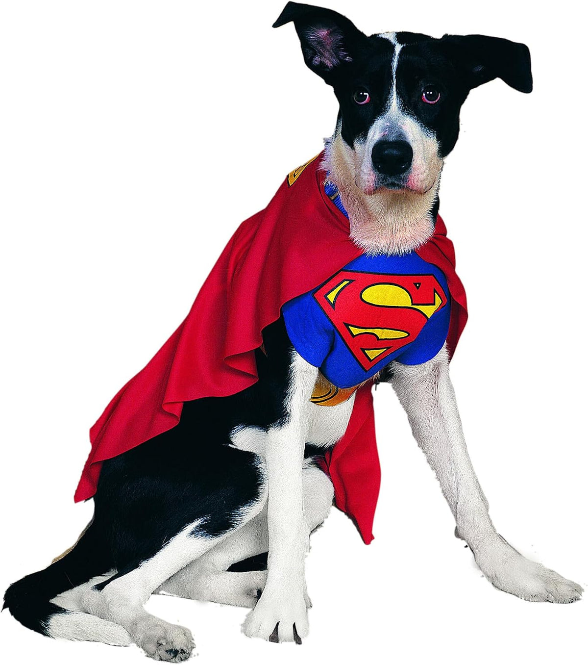 DC Comics Superheroes: Superman Pet Costume for For Dogs or Cats - Medium / 1 - image 2