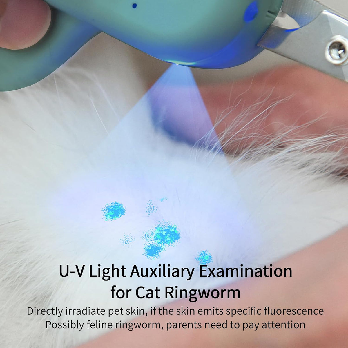 Cat Nail Clipper with LED Light - Suitable for Cats＆Dogs / Blue - image 3