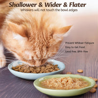 No Spill Cat Bowls, Cat Food Bowl - Wave-4 Pack - image 4