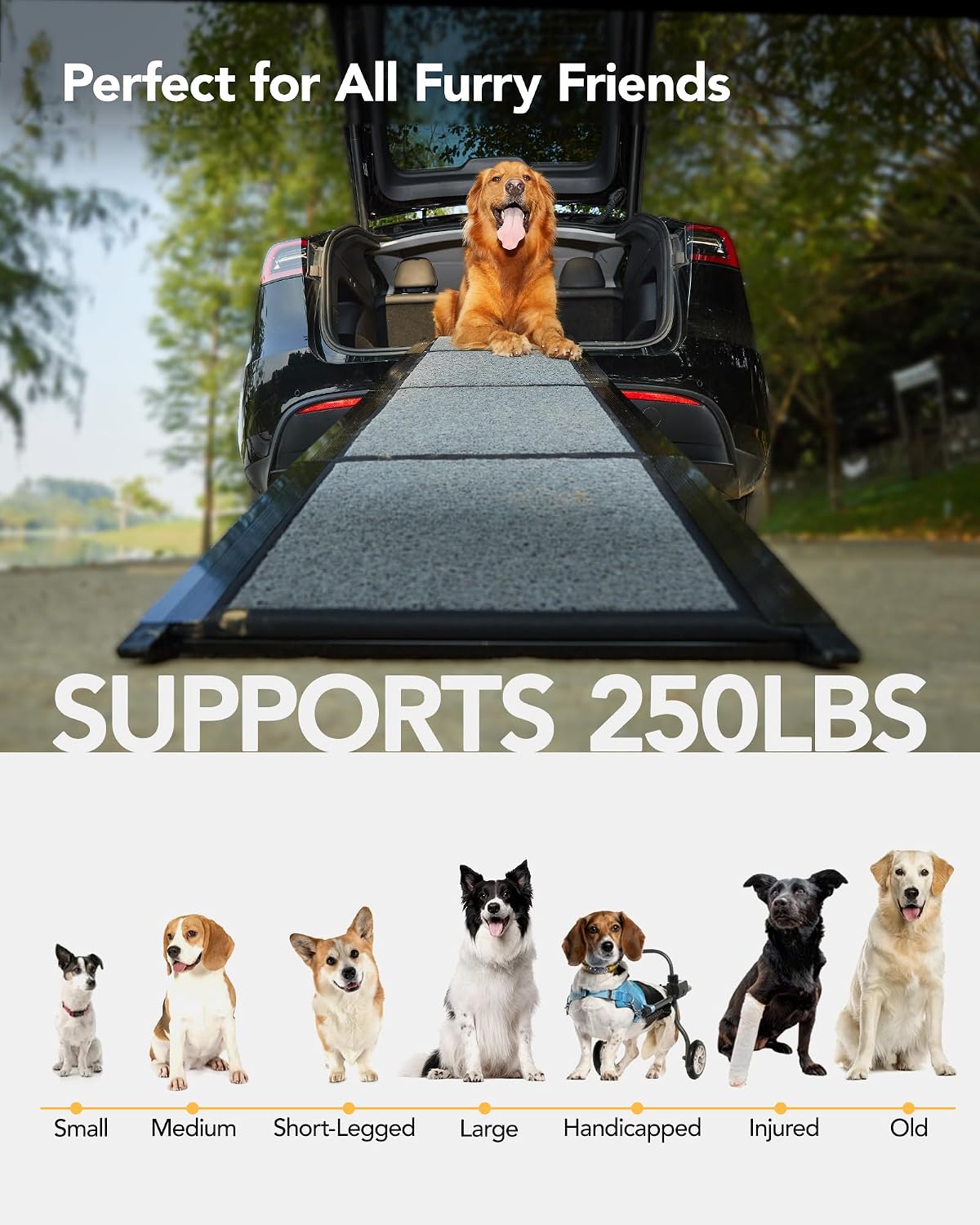 Dog Ramp for Cars, 71" L × 17.2" W, Extra-Long Foldable – Essentials for Dogs - Upgraded 63'' L x 19.7" W - image 3