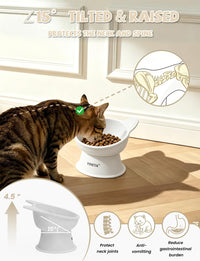 YINEYA 2 Pack Cat Food Bowls Elevated Design for Neck Comfort - Whiteq1 - image 2