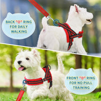 SlowTon No Pull Small Dog Harness and Leash Set with Front Clip – Essentials for Dogs - X-Small / Red - image 4