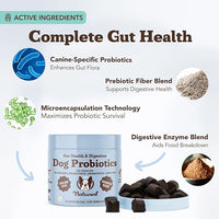 Natural Dog Company Gut Health & Probiotic Chews for Dogs (45 Ct), Prebiotics, Digestive Enzymes & Canine Specific Probiotics for Digestion, Gas, Loose Stool & Immune System Support, 1 Chew Daily