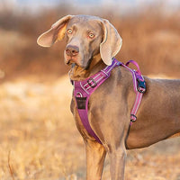 TRUE LOVE Dog Harness No Pull Nylon Reflective Pet Harness Adjustable Comfortable Control Step-in Brilliant Colors Truelove TLH56512