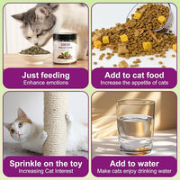 210ML Organic 100% Natural Catnip Cattle Grass Mint Taste Funny Cat Toy New Cat Toy Interactive Cat Toys Pet Supplies