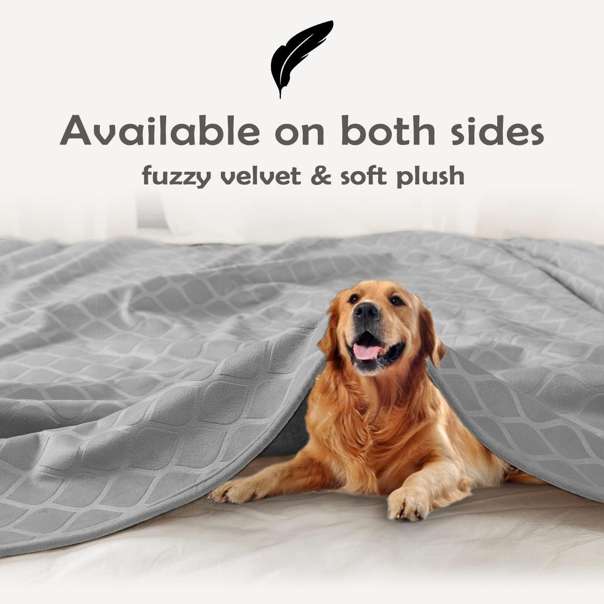Waterproof Dog Blanket, Soft Reversible Throw for Couch & Bed Protection – Essentials for Dogs - Light Grey+grey / 52x82 Inch (Pack of 1) - image 4