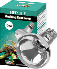 LUCKY HERP Heat Lamp Bulbs, 150W Reptile Heat Lamp 2 Pack - Clear Reptile Heat Lamp / 100W 1-Pack