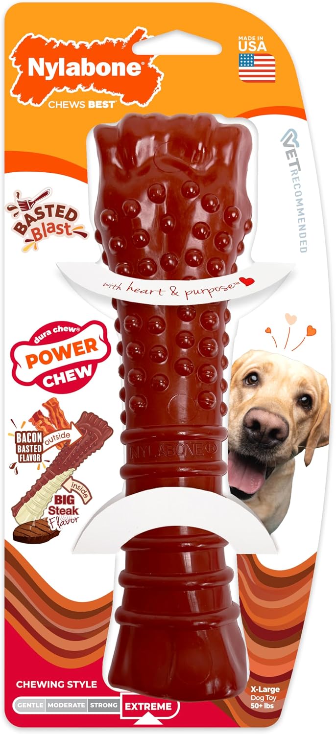 Nylabone Power Chew Basted Blast Dog Chew Toy - Bacon & Steak / X-Large (Pack of 6)